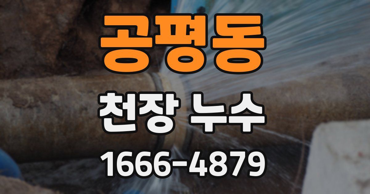 공평동 천장 누수