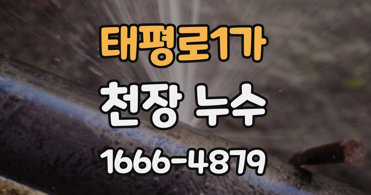 태평로1가 천장 누수