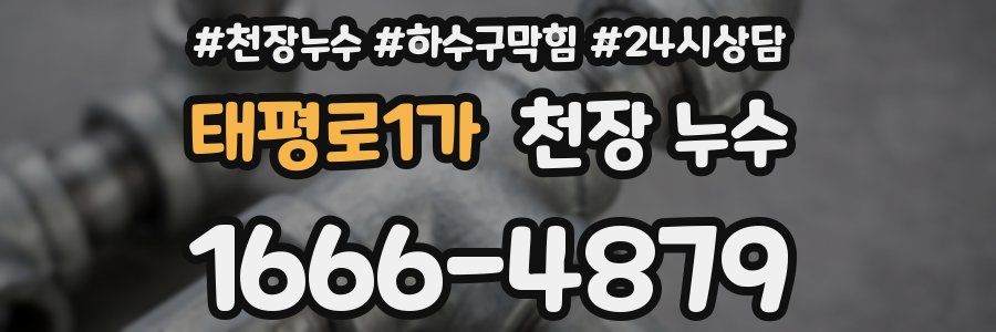 태평로1가 천장 누수