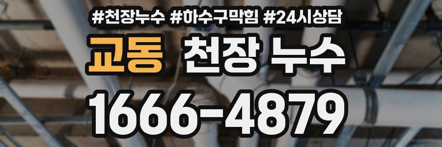 교동 천장 누수