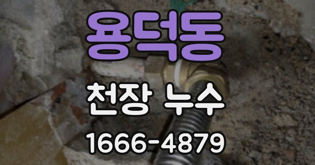 용덕동 천장 누수