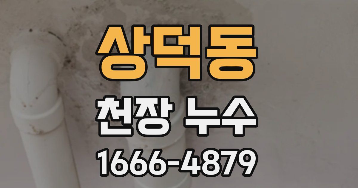 상덕동 천장 누수