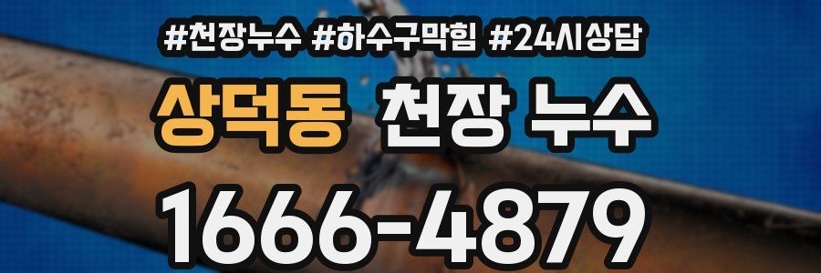 상덕동 천장 누수