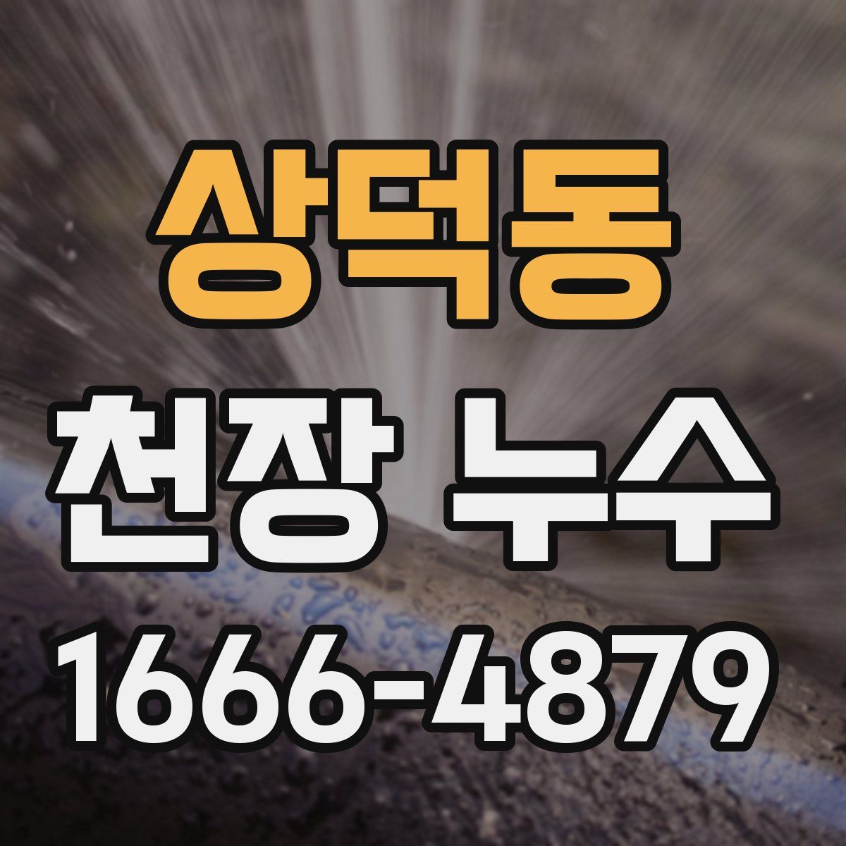 상덕동 천장 누수