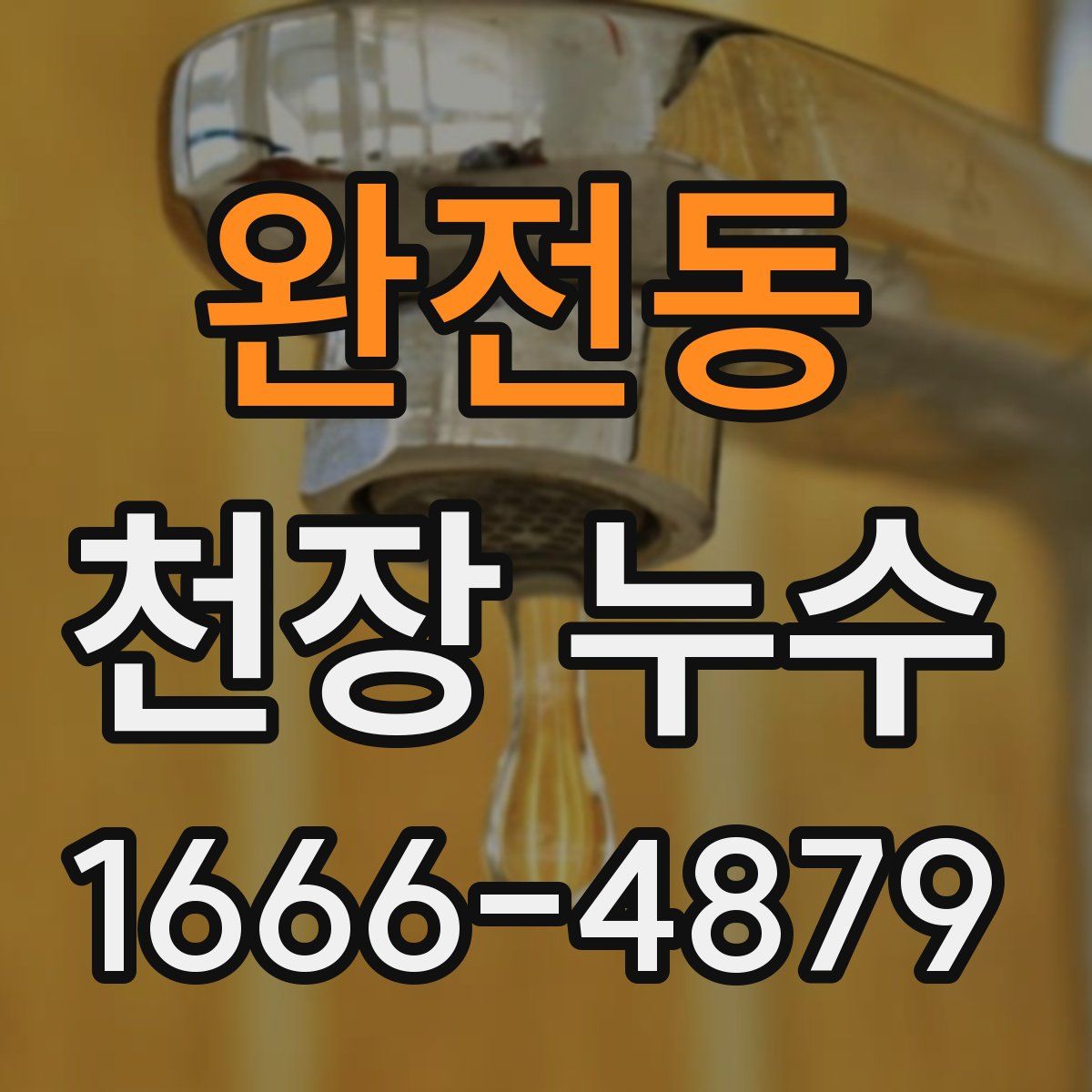 완전동 천장 누수