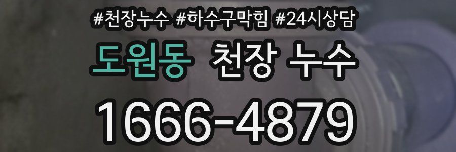 도원동 천장 누수