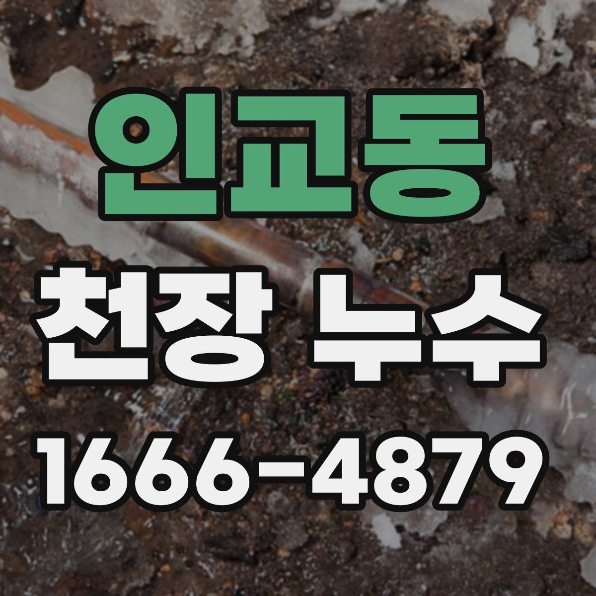 인교동 천장 누수