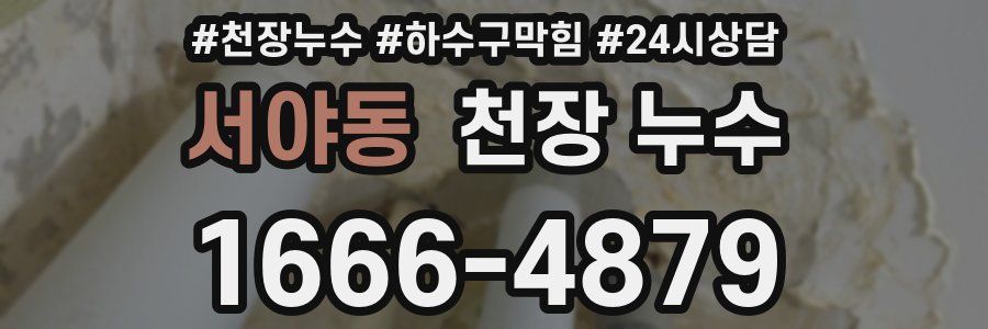 서야동 천장 누수