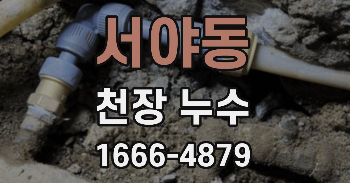 서야동 천장 누수