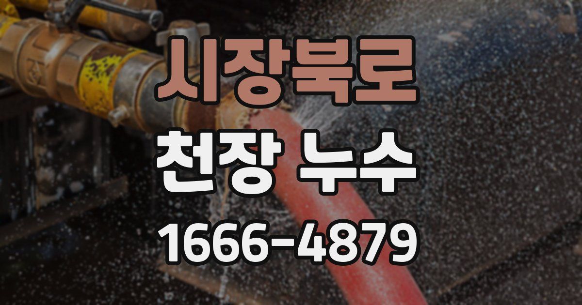 시장북로 천장 누수