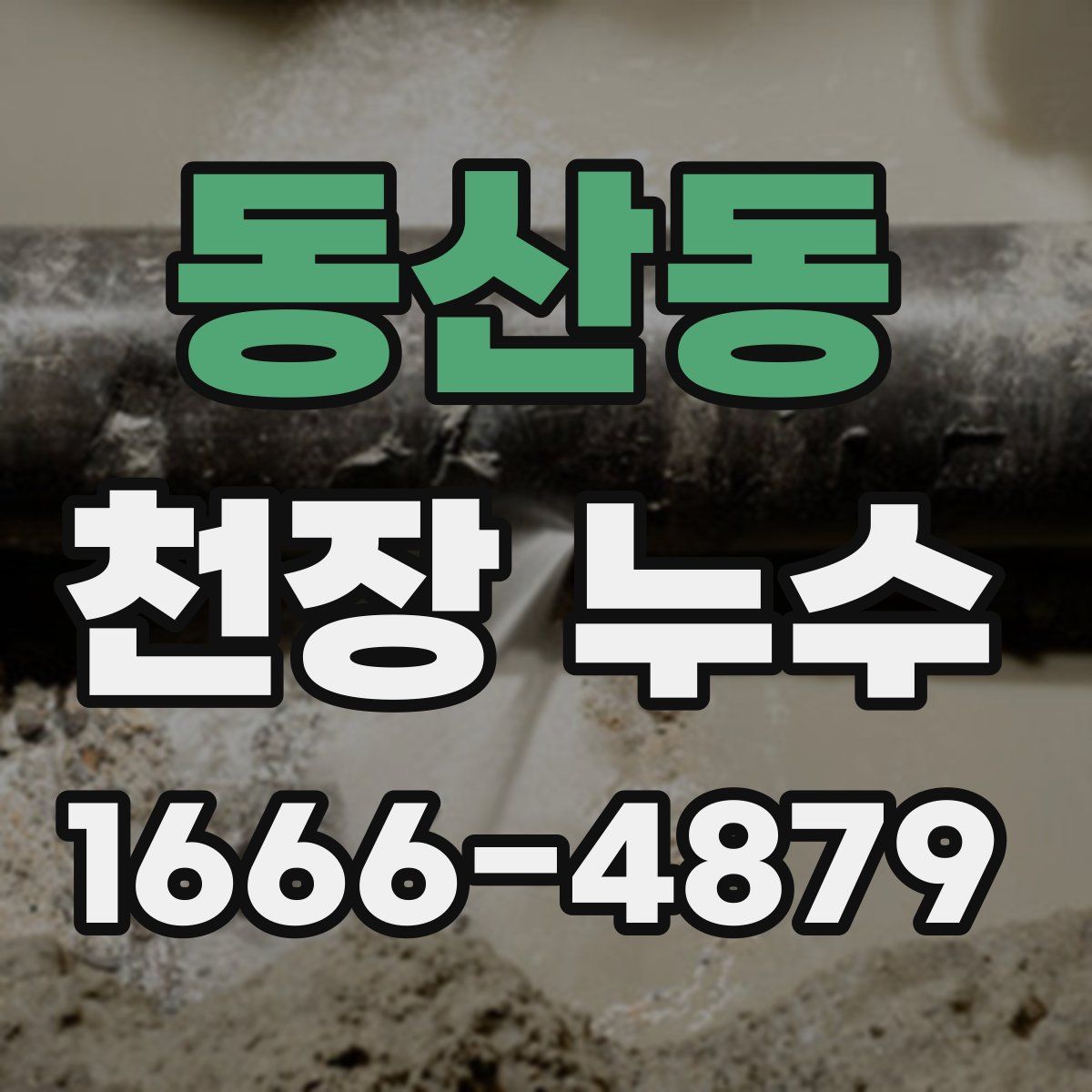 동산동 천장 누수