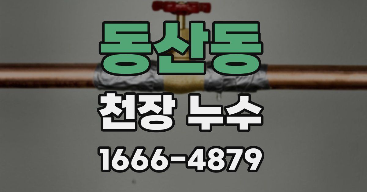 동산동 천장 누수