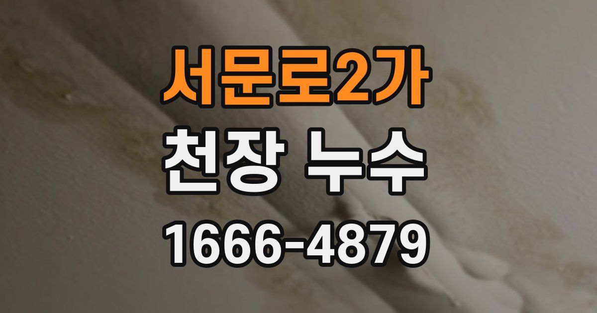 서문로2가 천장 누수