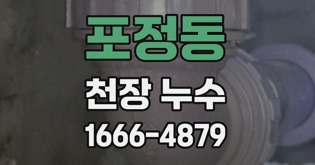 포정동 천장 누수