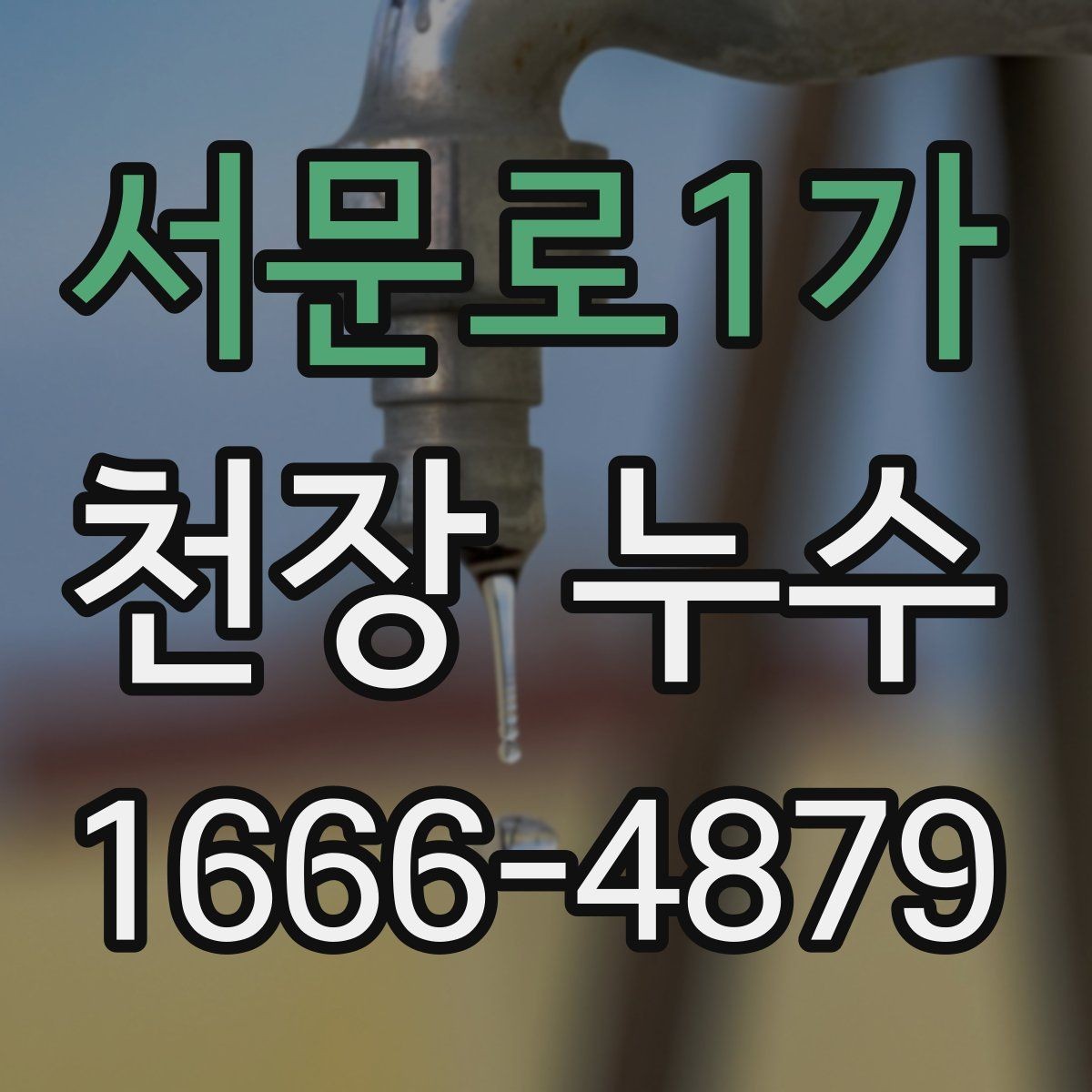 서문로1가 천장 누수 보이지만 사실은 환기 문제일 수도