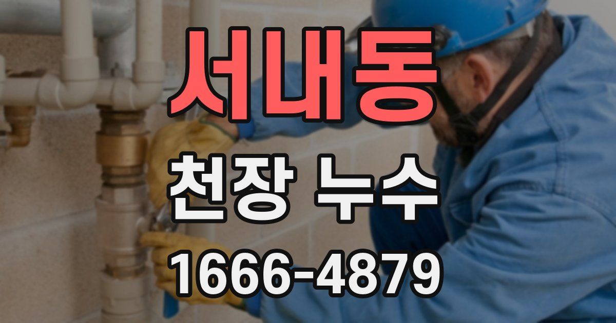 서내동 천장 누수