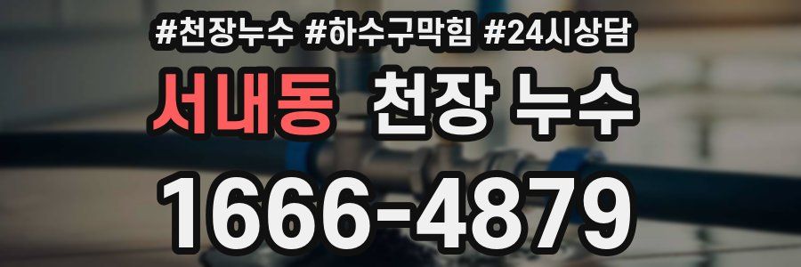 서내동 천장 누수