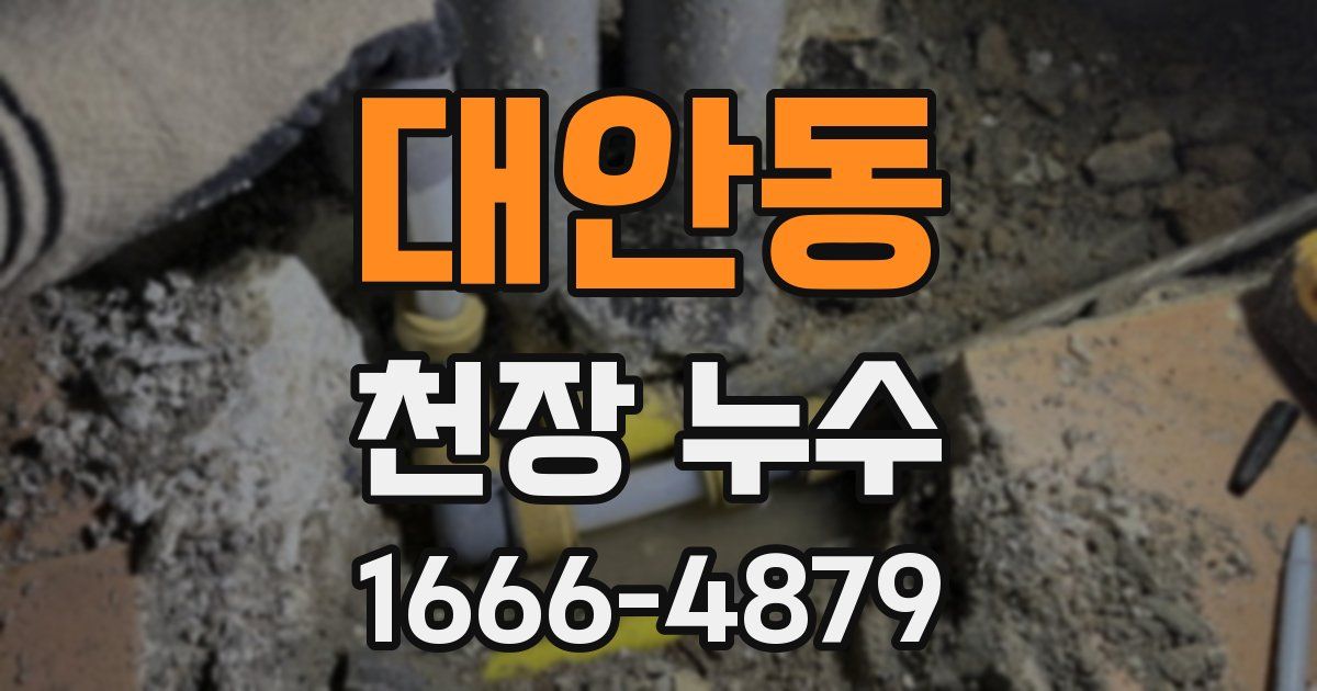 대안동 천장 누수