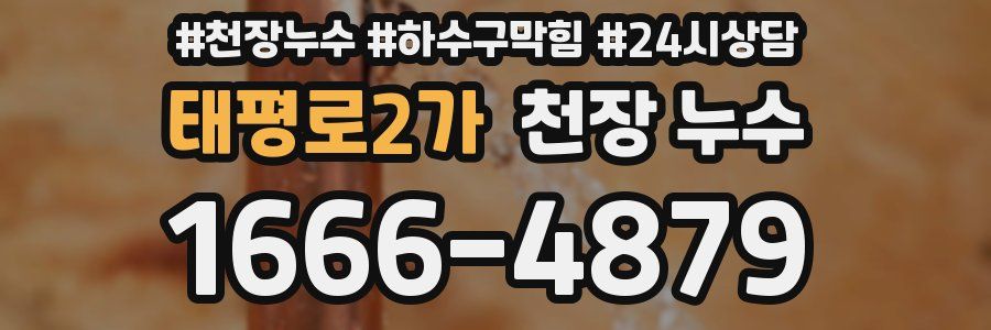 태평로2가 천장 누수