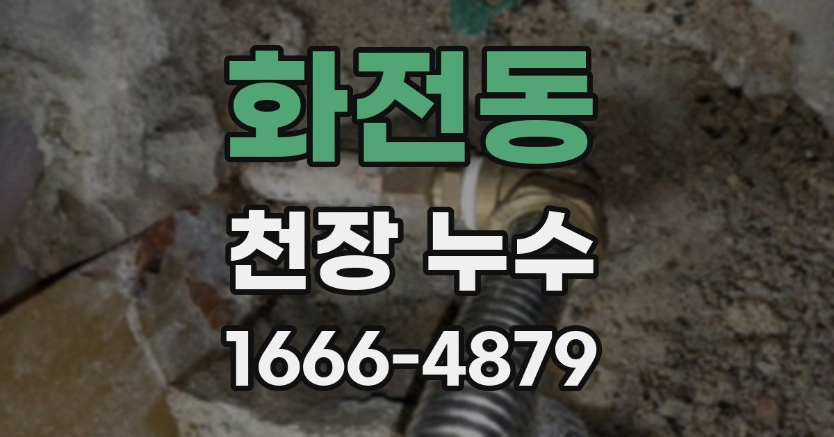 화전동 천장 누수