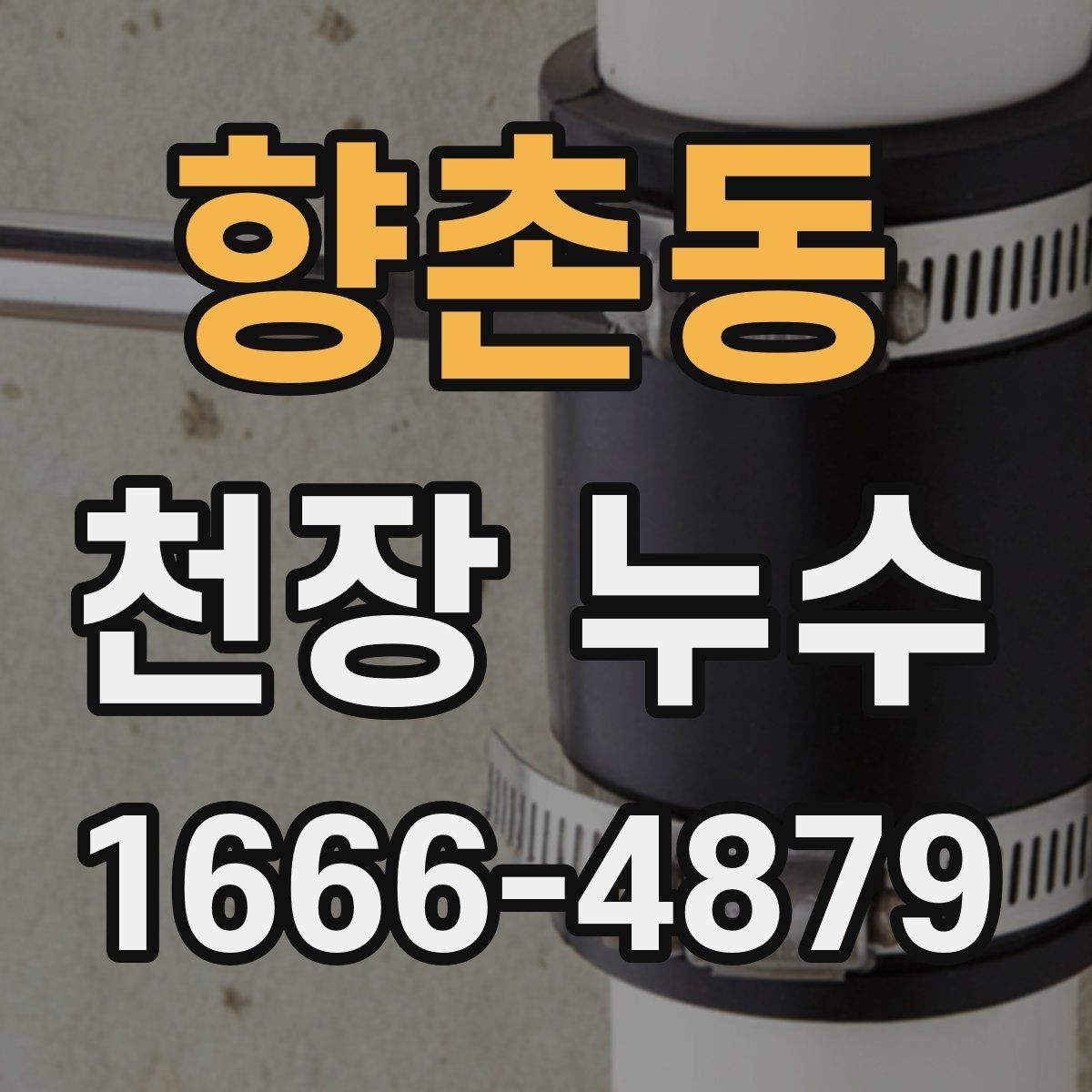 향촌동 천장 누수 위층과 원만히 소통하려면 어떤 정보가 필요할까