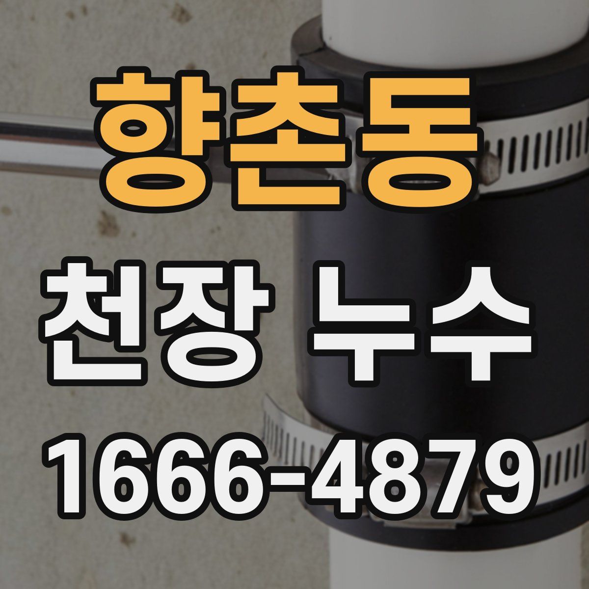 향촌동 천장 누수