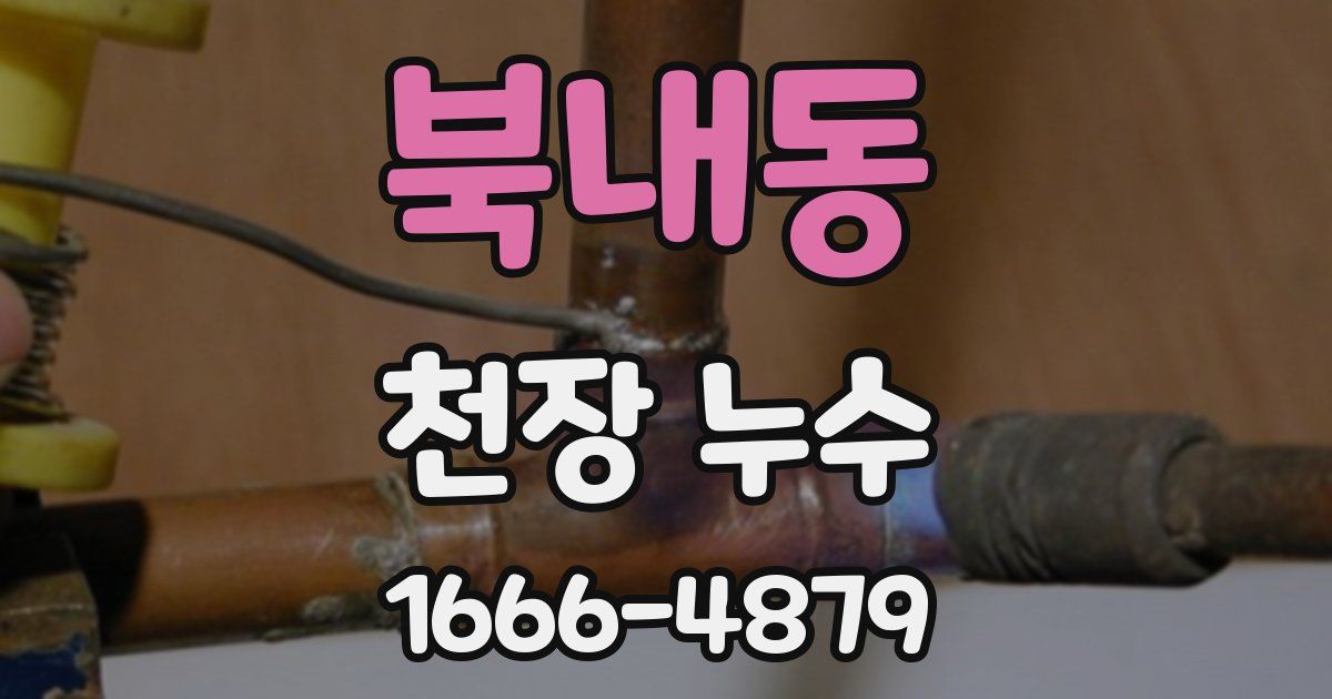 북내동 천장 누수