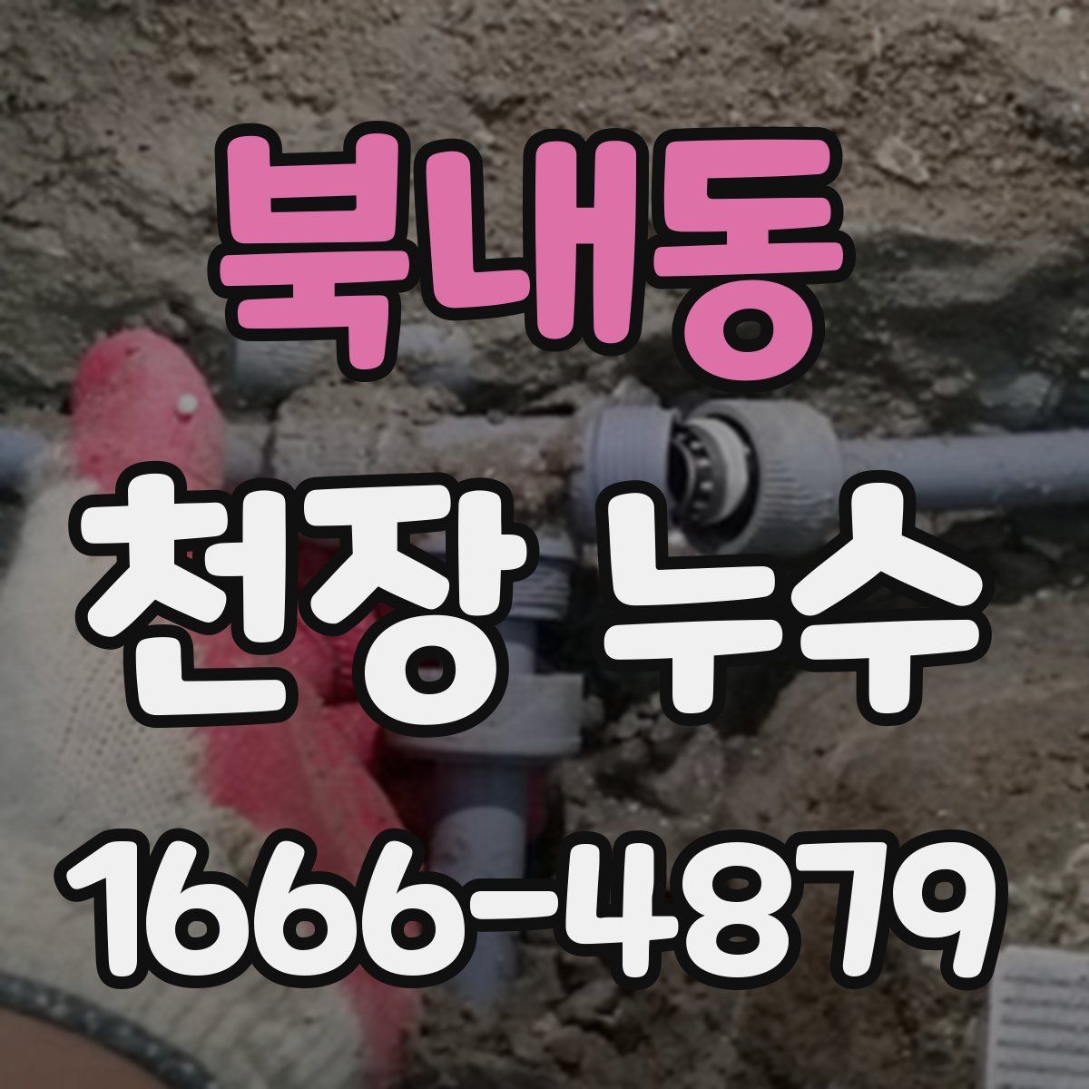 북내동 천장 누수