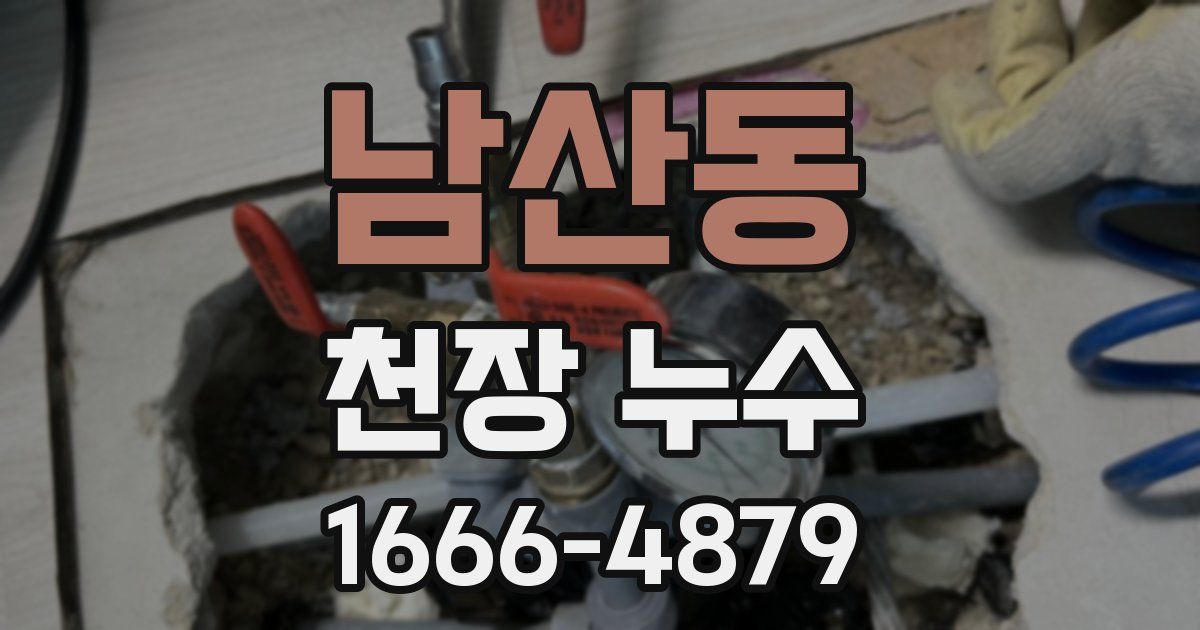 남산동 천장 누수