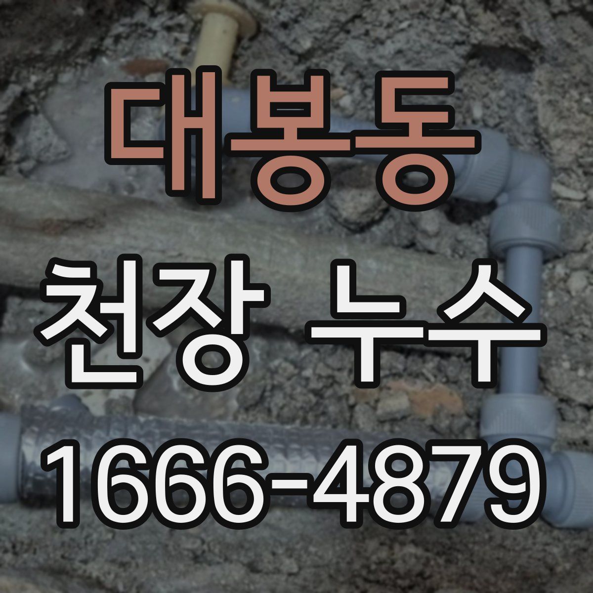 대봉동 천장 누수