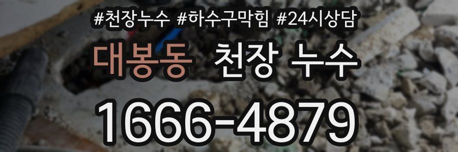 대봉동 천장 누수