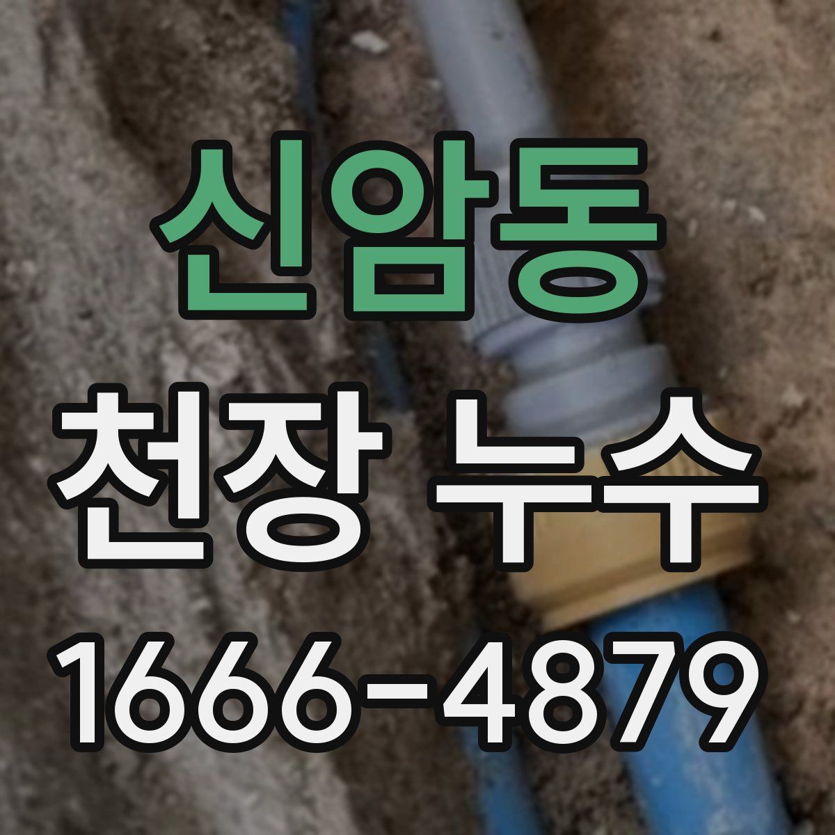 신암동 천장 누수