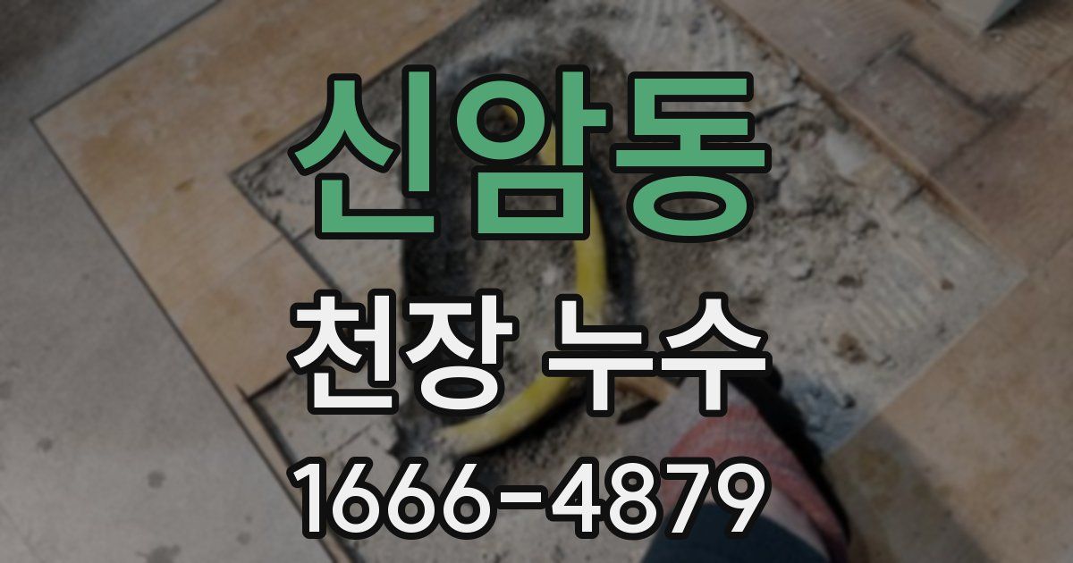 신암동 천장 누수