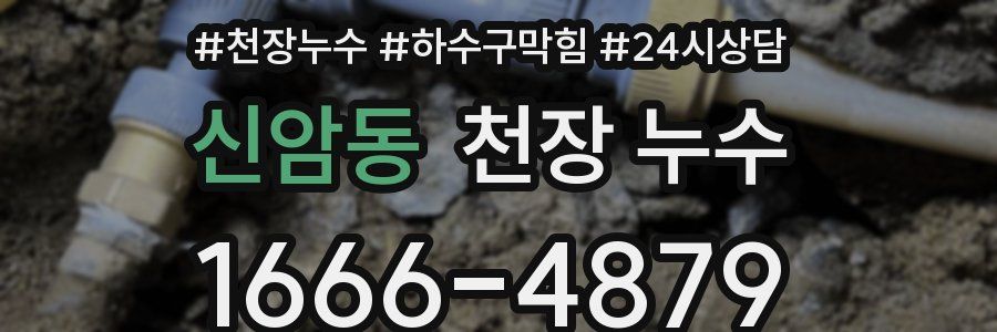 신암동 천장 누수