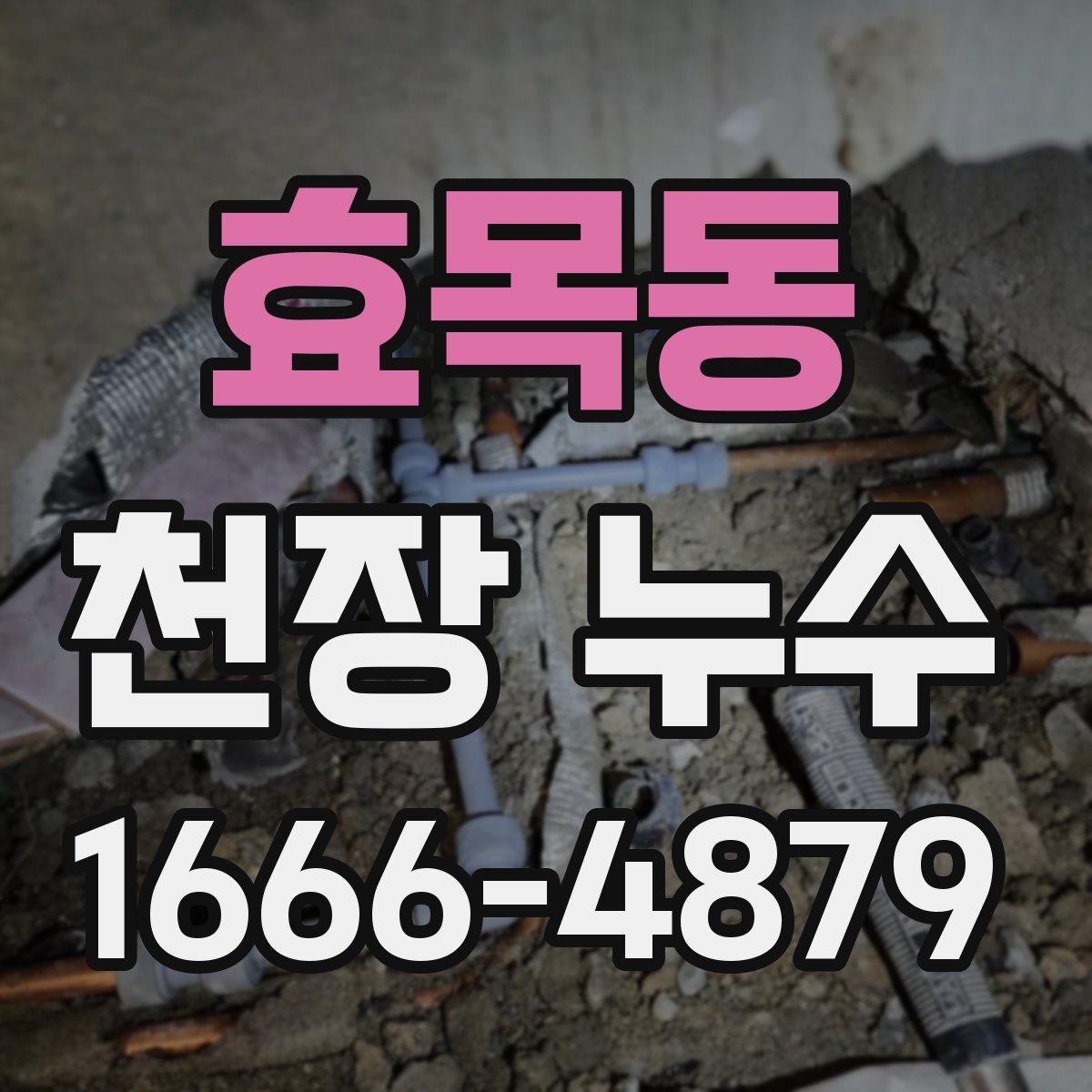 효목동 천장 누수 천장 모서리 곰팡이가 갑자기 늘었다면