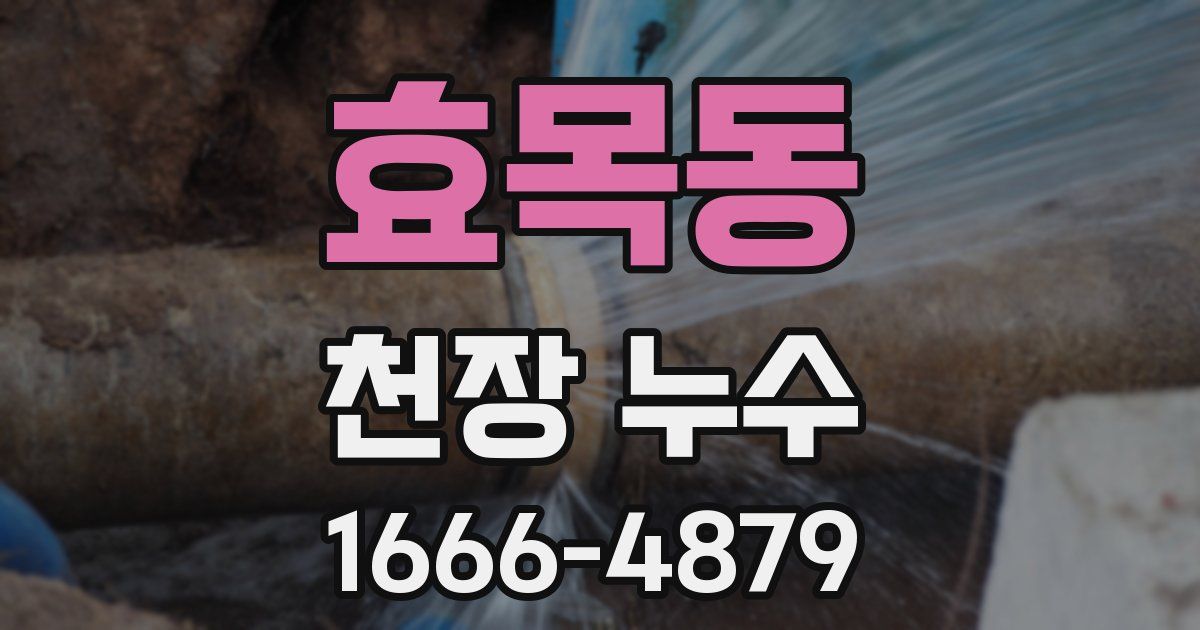 효목동 천장 누수