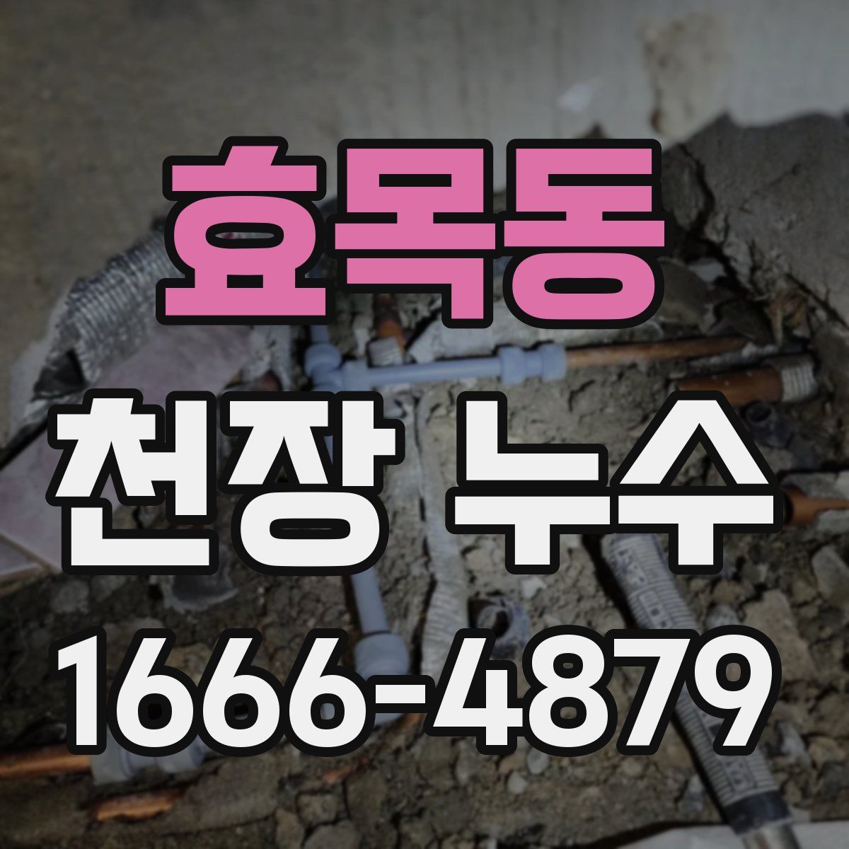 효목동 천장 누수