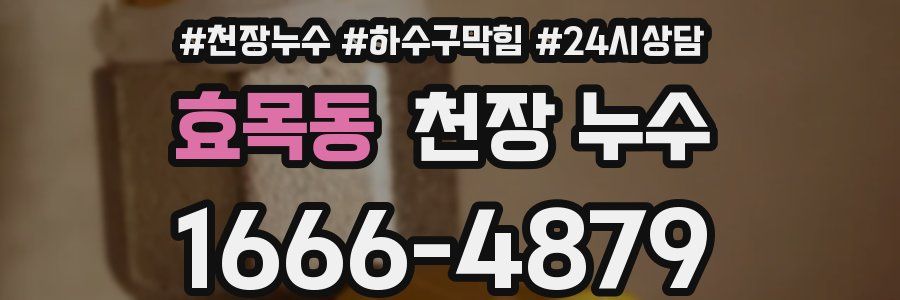 효목동 천장 누수