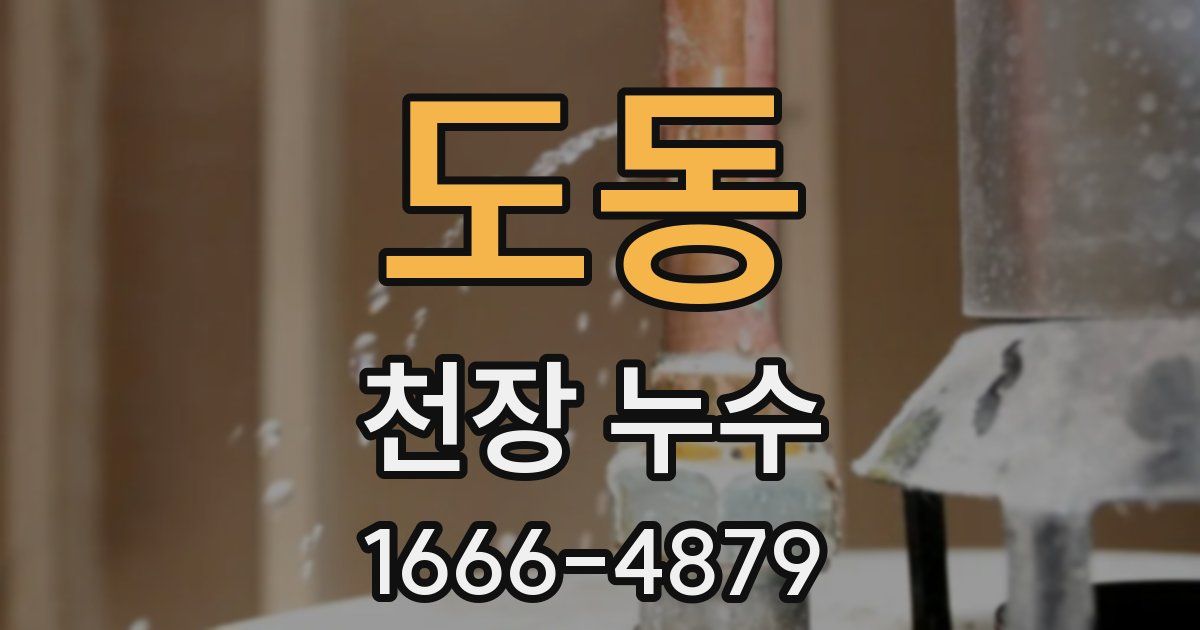 도동 천장 누수
