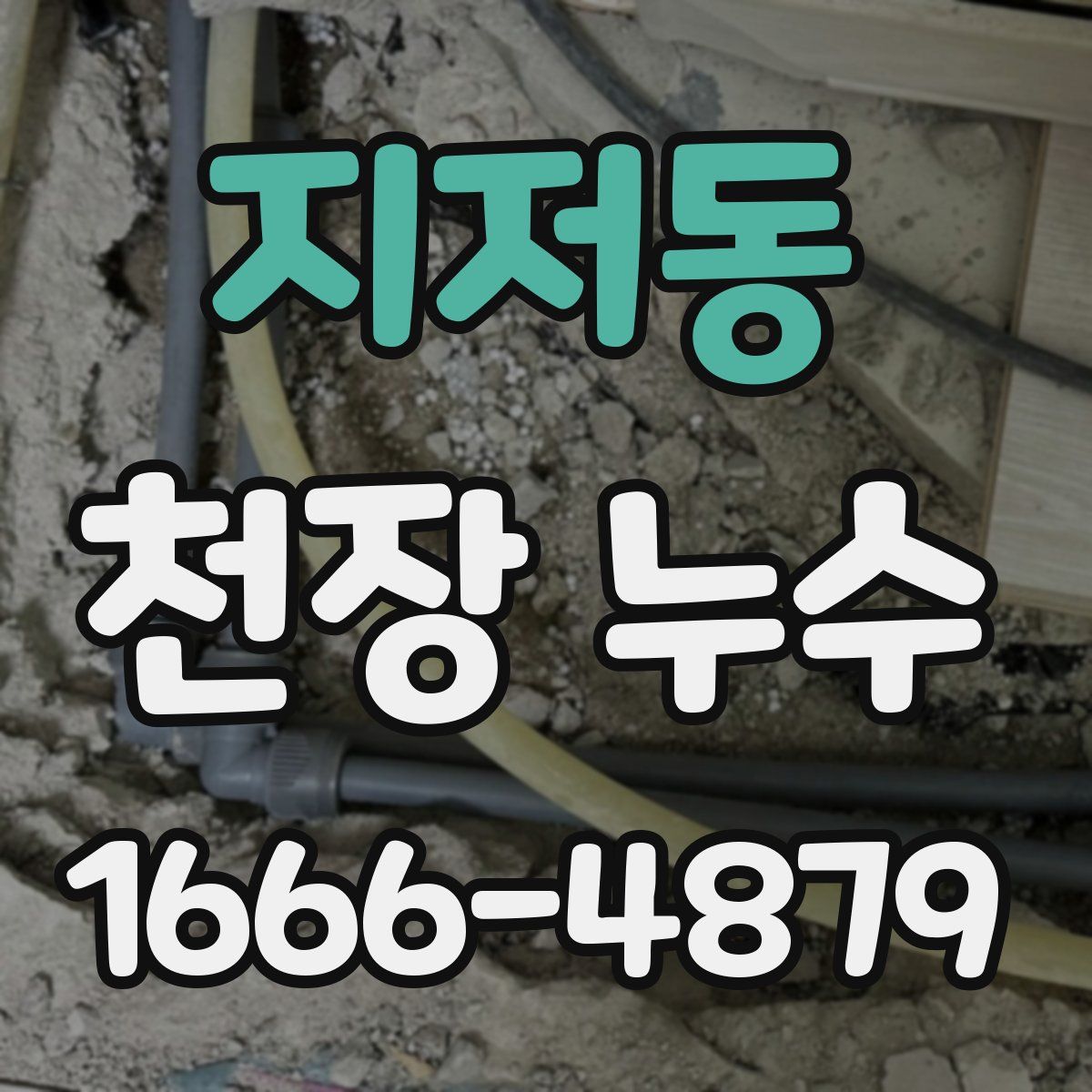 지저동 천장 누수