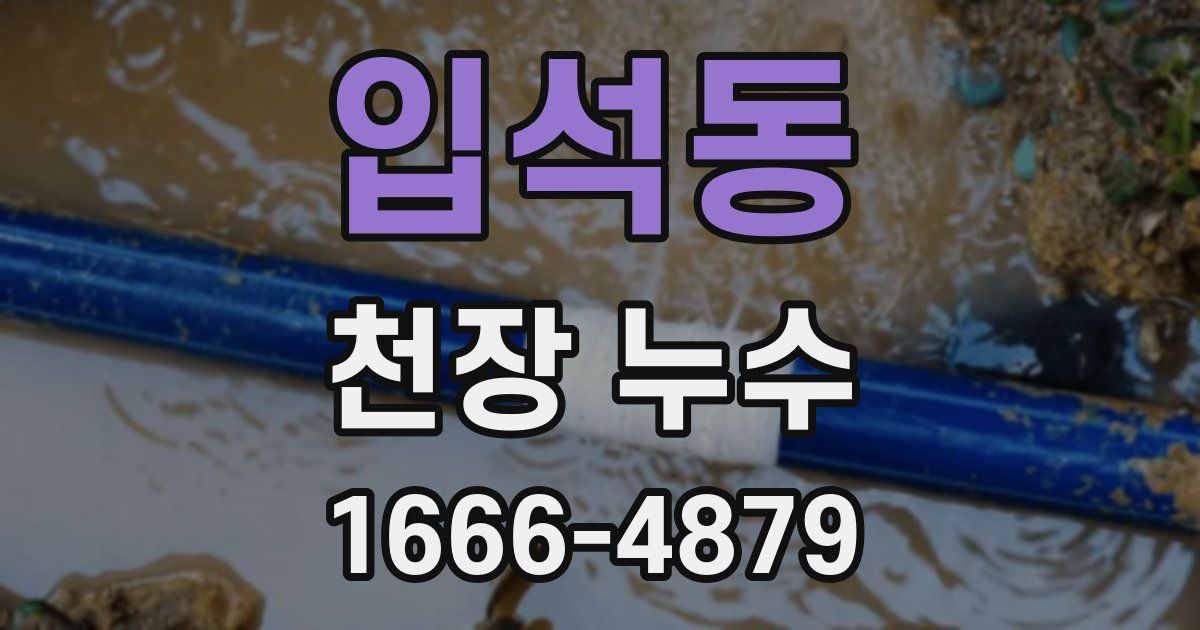 입석동 천장 누수