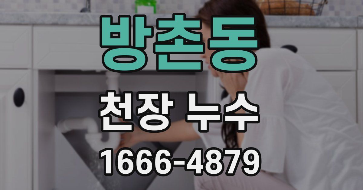 방촌동 천장 누수