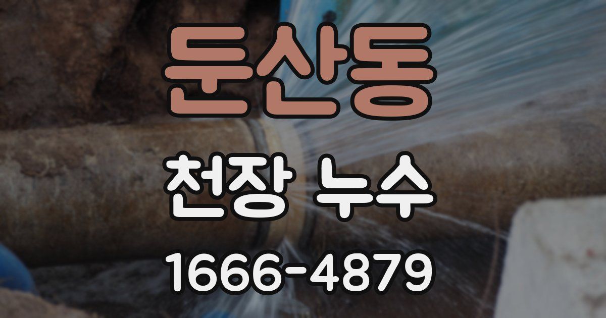 둔산동 천장 누수