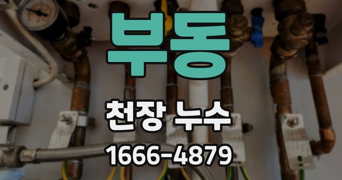 부동 천장 누수