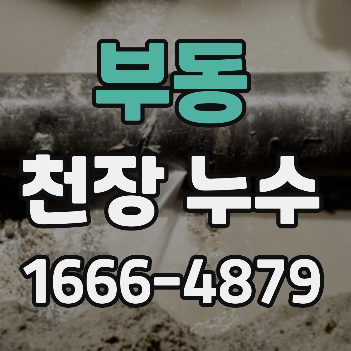 부동 천장 누수