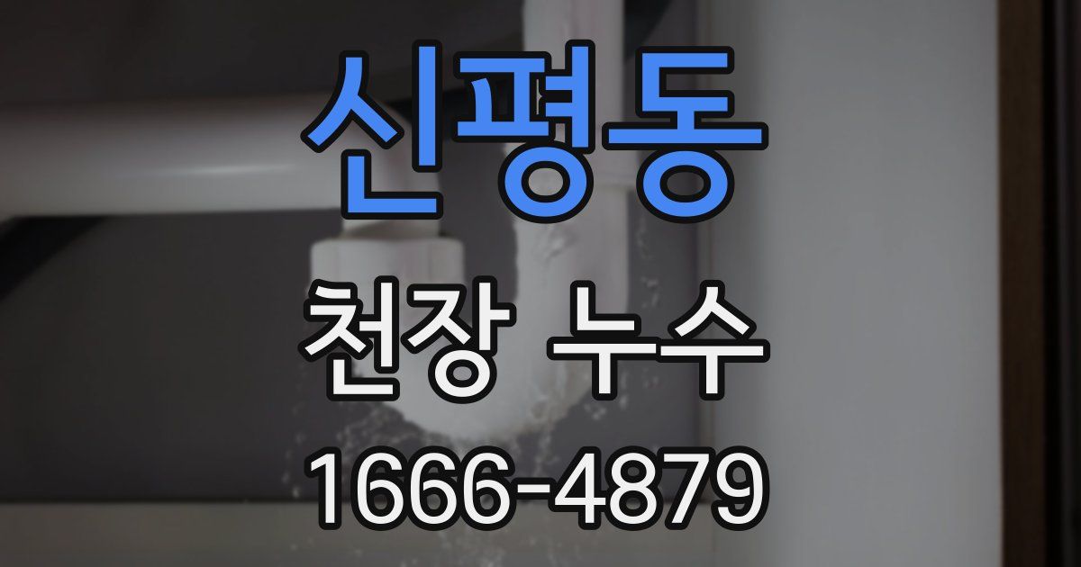 신평동 천장 누수