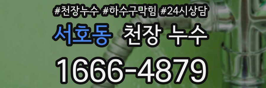 서호동 천장 누수