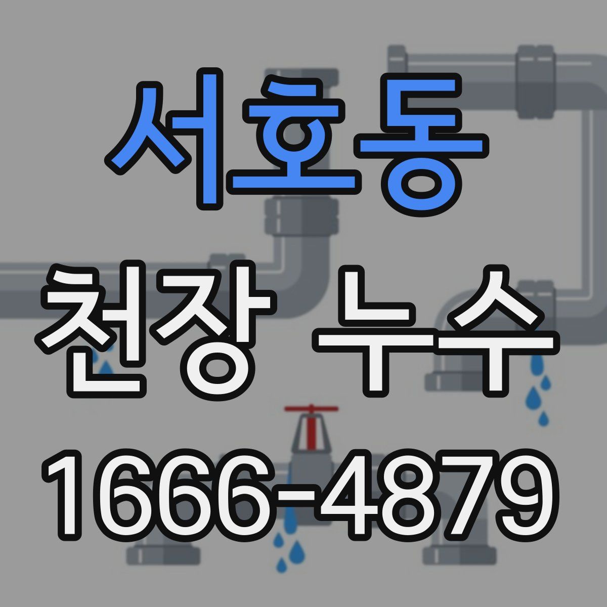 서호동 천장 누수