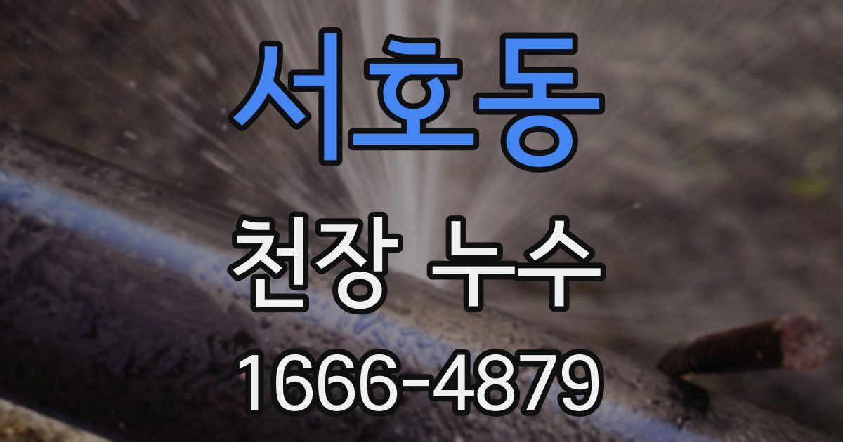 서호동 천장 누수