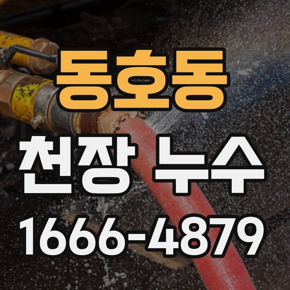 동호동 천장 누수